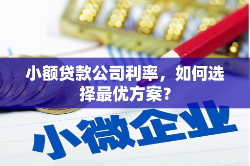 班戈小额贷款公司利率，如何选择最优方案？