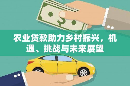 班戈农业贷款助力乡村振兴，机遇、挑战与未来展望