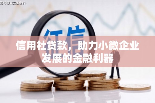 班戈信用社贷款，助力小微企业发展的金融利器