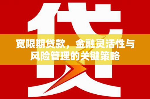 班戈宽限期贷款，金融灵活性与风险管理的关键策略