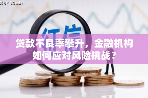 班戈贷款不良率攀升，金融机构如何应对风险挑战？