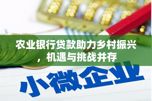 班戈农业银行贷款助力乡村振兴，机遇与挑战并存