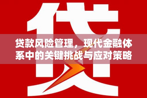 班戈贷款风险管理，现代金融体系中的关键挑战与应对策略