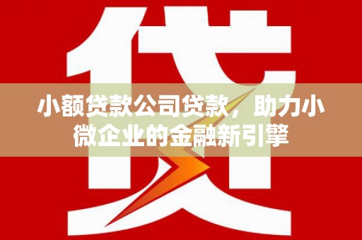 班戈小额贷款公司贷款，助力小微企业的金融新引擎