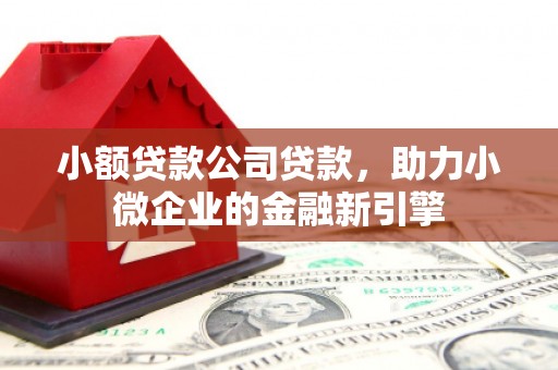 班戈小额贷款公司贷款，助力小微企业的金融新引擎