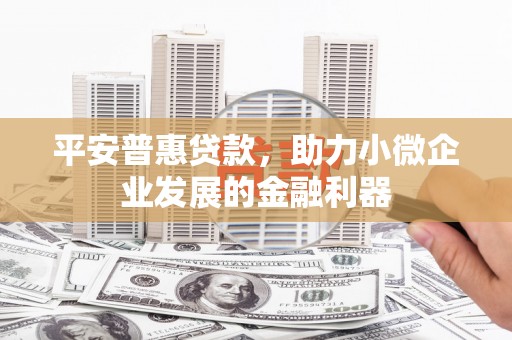 班戈平安普惠贷款，助力小微企业发展的金融利器
