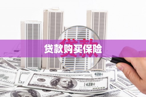 班戈贷款购买保险