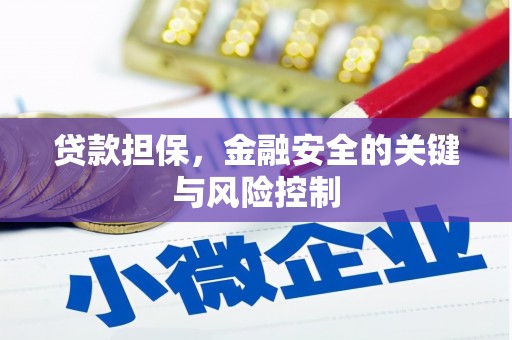 班戈贷款担保，金融安全的关键与风险控制