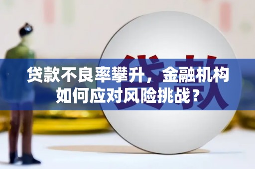 班戈贷款不良率攀升，金融机构如何应对风险挑战？