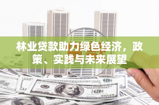 班戈林业贷款助力绿色经济，政策、实践与未来展望