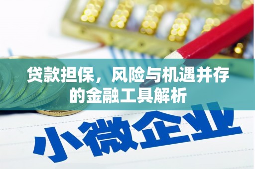 班戈贷款担保，风险与机遇并存的金融工具解析