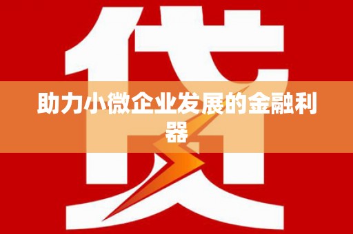 班戈助力小微企业发展的金融利器