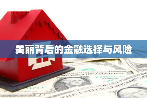 班戈美丽背后的金融选择与风险