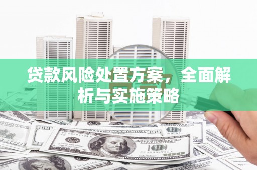 班戈贷款风险处置方案，全面解析与实施策略
