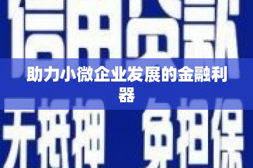 班戈助力小微企业发展的金融利器