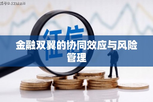 班戈金融双翼的协同效应与风险管理