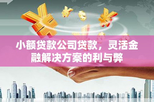 班戈小额贷款公司贷款，灵活金融解决方案的利与弊