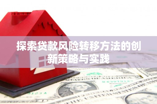 班戈探索贷款风险转移方法的创新策略与实践